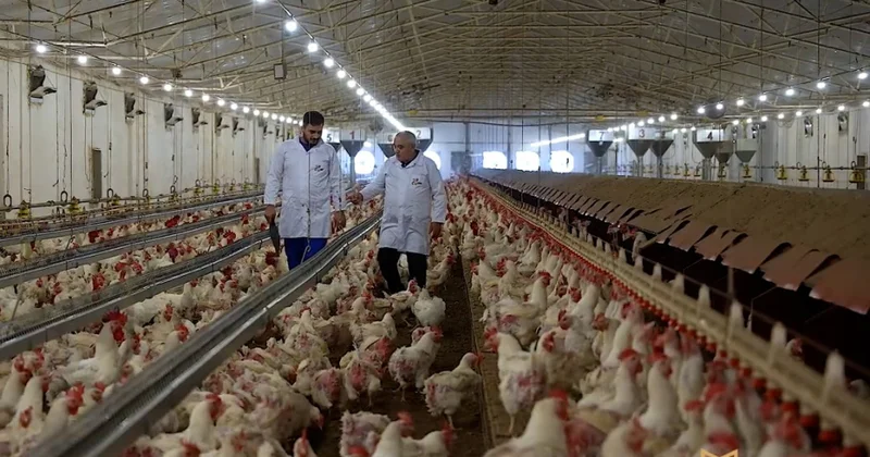 “Qida təhlükəsizliyi tək dövlətin deyil, hər kəsin işidir” kampaniyası çərçivəsində növbəti videoçarx təqdim edilib