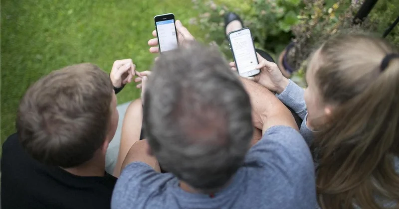 Şəbəkələşmə insanların bir araya gəlməsidir SOSİOLOQ DANIŞDI