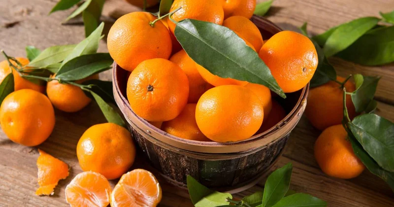 Gündə 2 ədəd mandarinin sağlamlığa faydaları