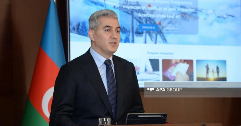 В Азербайджане представили портал для высококвалифицированных мигрантов