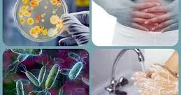 Yeni xəstəlik ermənilərin axırına çıxa bilər Xəbər