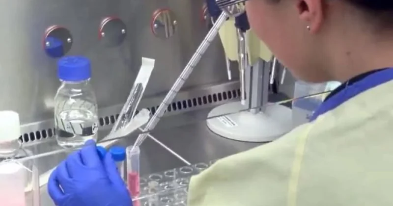 Genetik analizlərin aparılmasını nəzərdə tutan Xidmətlər Zərfinin hazırlanması ilə bağlı müraciət edilib