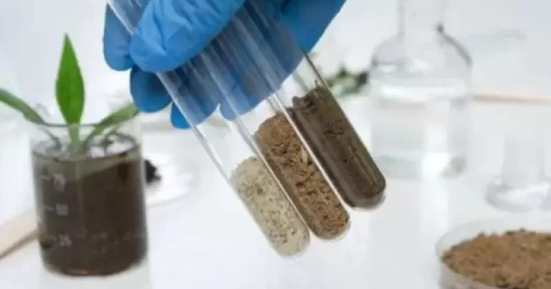 Torpaq analizi nə üçün vacibdir?