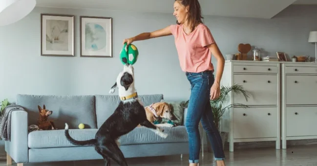 Ev heyvanı olan insanlar daha rahat yatır PSİXOLOQ