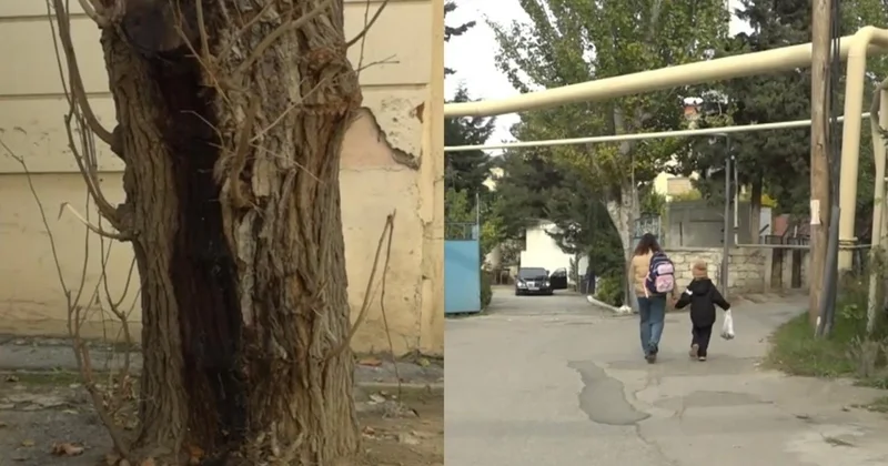 6 cı mikrorayon sakinlərini bezdirən PROBLEM VİDEO