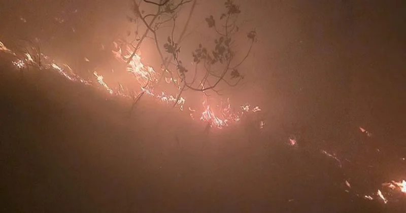 Türkiyədə meşəyə ildırım düşüb, yanğın başlayıb