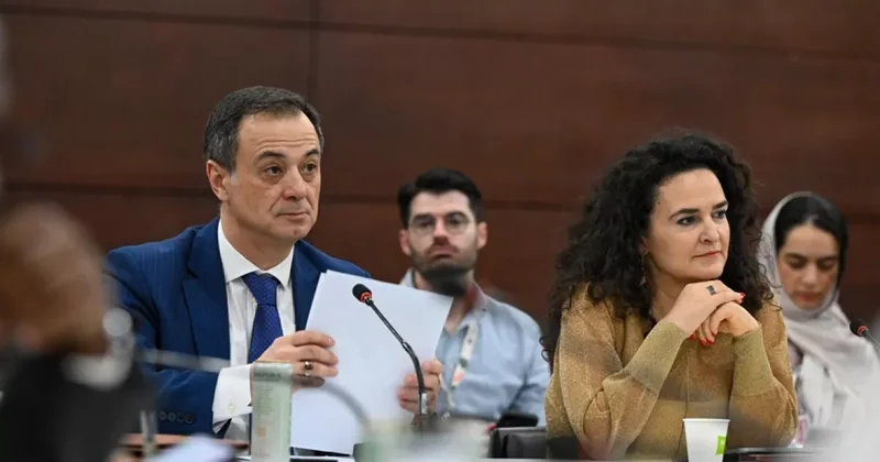 Baku Hub о реализации проектов в наиболее чувствительных к изменению климата странах