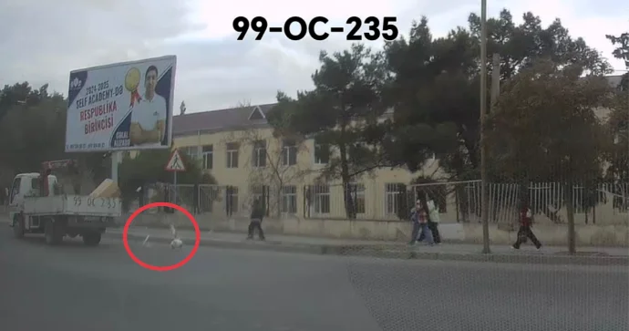 Sürücü daşıdığı zibilləri döngədə dağdıb getdi VİDEO