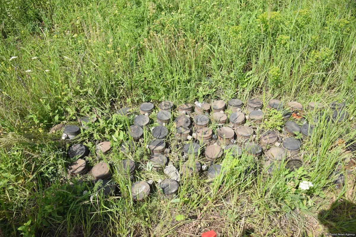 В Азербайджане определяются новые правила в связи с деятельностью по разминированию