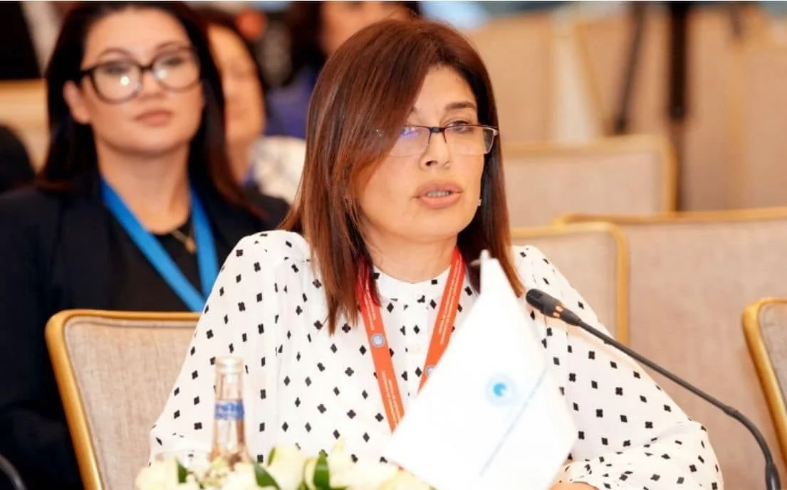 Günay Əfəndiyeva: “Azərbaycan Avropa və Asiya arasında enerji qovşağı kimi çıxış edir”