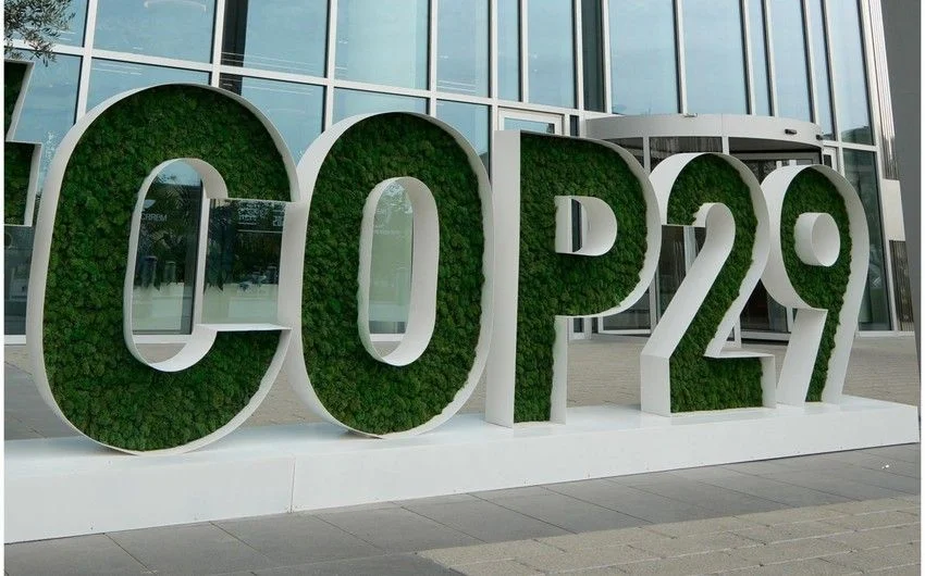 COP 29da istifadə olunan aktivlər və inventarlarla bağlı milyonluq müqavilə