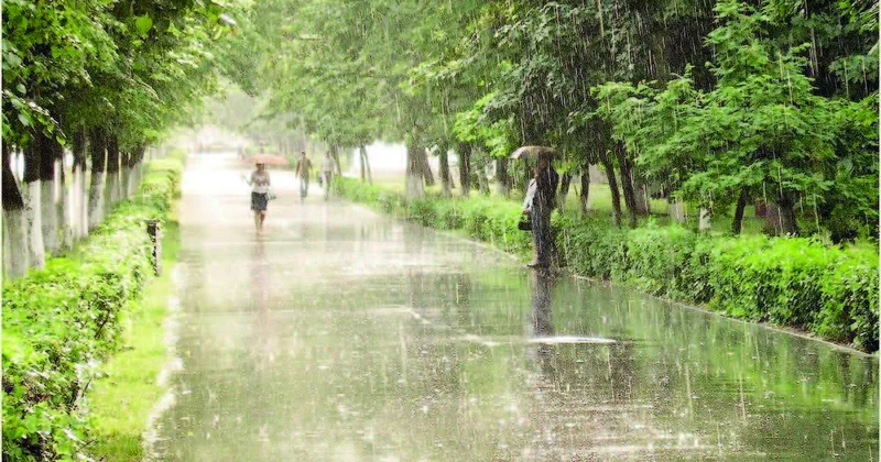 Qışın astanasında yağışlı şənbə...