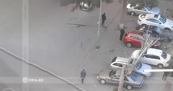 Bakıda ağac aşdı: maşınlara ziyan vurdu Foto