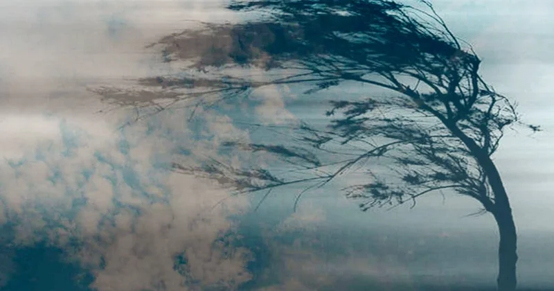 Порывы ветра в Азербайджане усилились Minval Politika