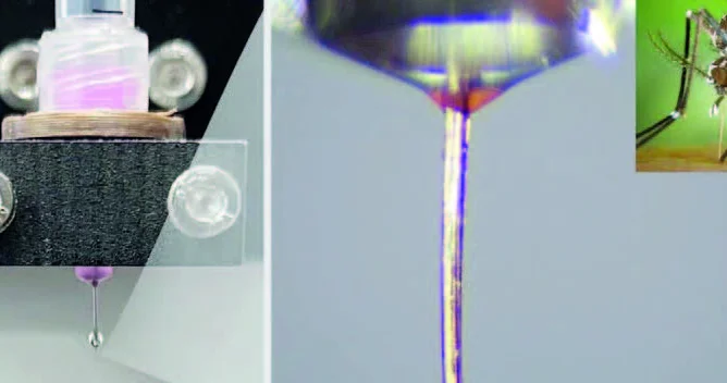 Ağcaqanad xortumu “böyüdücü cihaz” imiş...