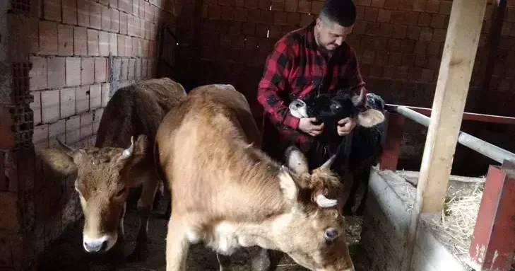 Almaniyadakı işini buraxıb, kəndinə döndü: Robot olmaqdansa çoban olaram