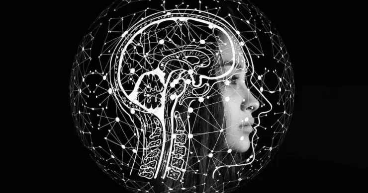 Süni intellekt hansı fəlakətlər gətirə bilər? Alimlər AÇIQLADI