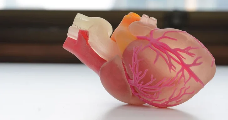 Созданы пластыри для восстановления сердца