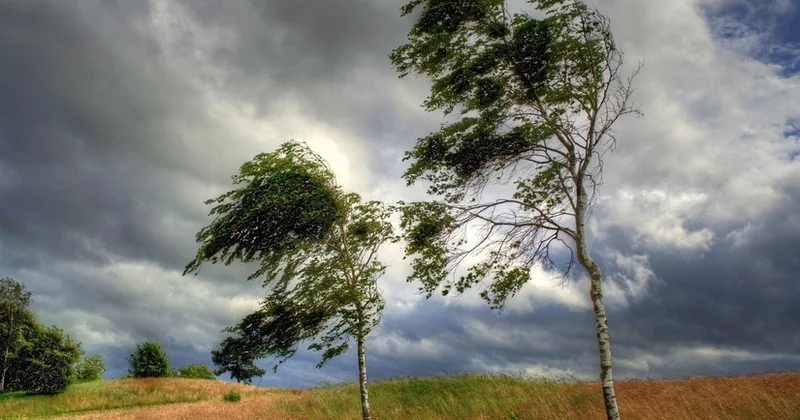 Bəzi rayonlarda güclü külək əsir FAKTİKİ HAVA
