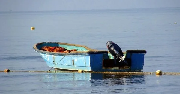 Поиски пропавших в Астаре рыбаков продолжаются Minval Politika
