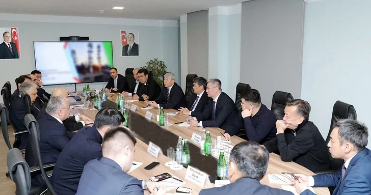 Энергетический диалог: вице президент SOCAR встретился с замглавы правительства Кыргызстана