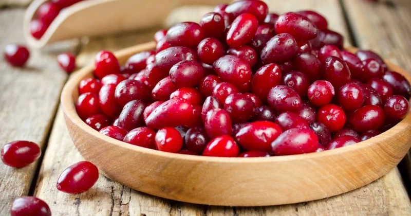 Soyuqdəymə üçün təbii həll Diabet xəstələrinə faydalı meyvə