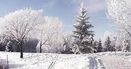 В Гахе выпал снег