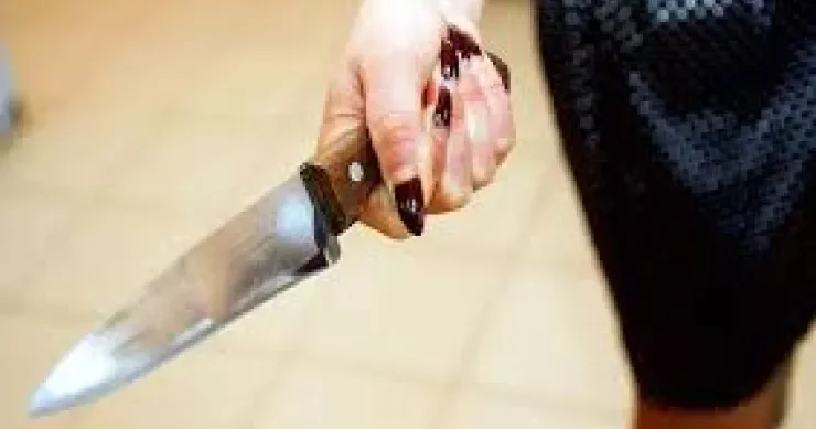 Əri Rusiyaya işləməyə gedən qadın 2 övladını öldürdü