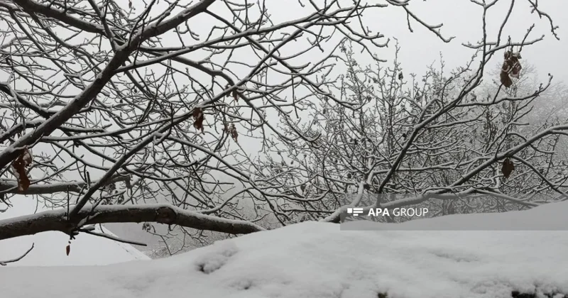 Naxçıvana 25 sm qar yağıb FOTOLAR