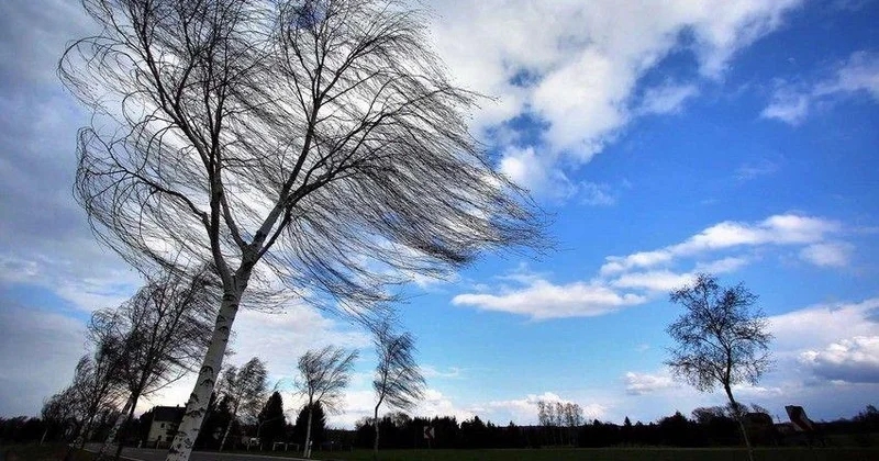 Bəzi bölgələrdə güclü külək əsir