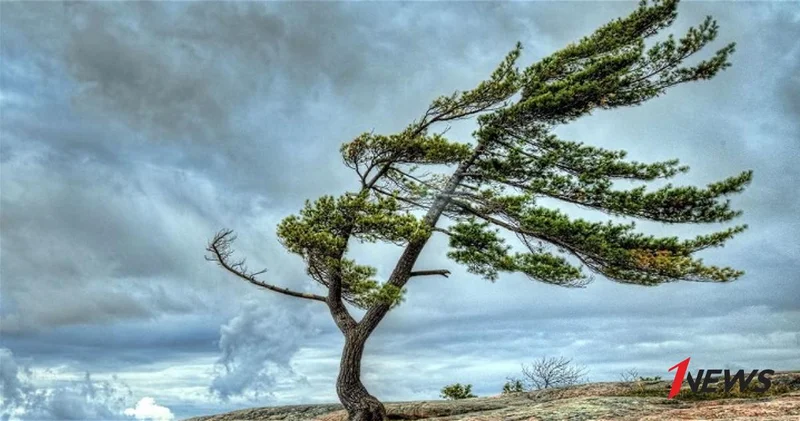 Обнародована фактическая погода на вечер субботы