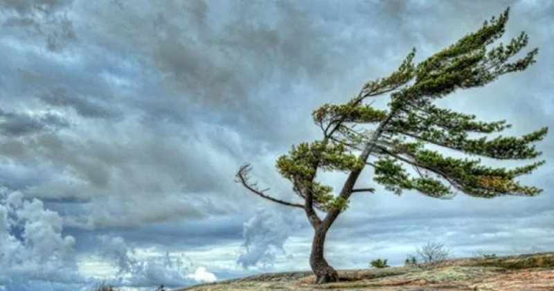 Bölgələrdə külək güclənib FAKTİKİ HAVA