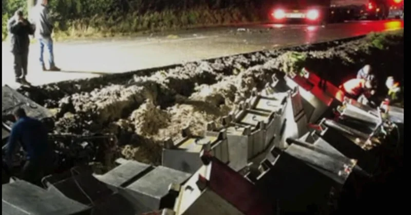 Крабы и устрицы на 18 часов заблокировали движение в Ирландии ВИДЕО