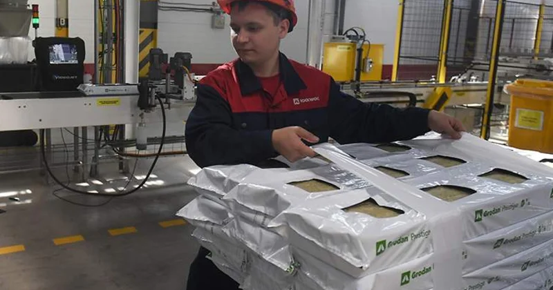 У европейских компаний отобрали российские заводы решение Путина