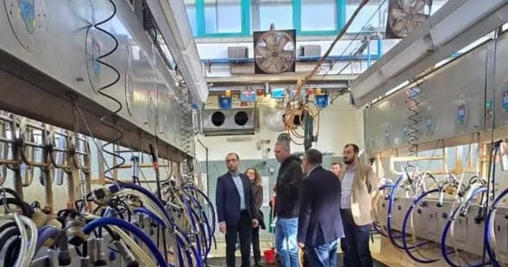 Азербайджан и Израиль могут создать совместный центр искусственного осеменения