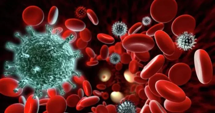 Qan azlığı immuniteti zəiflədir