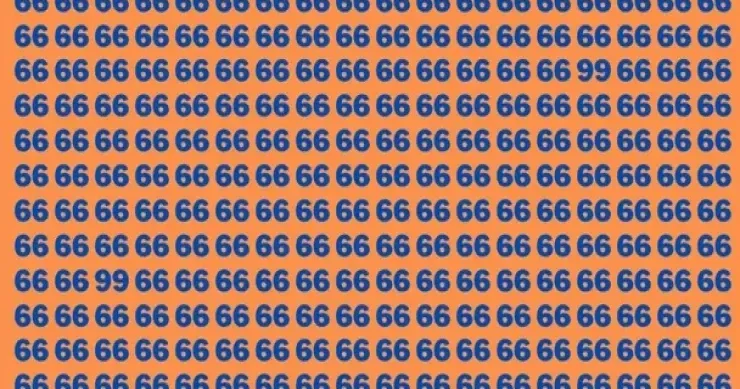 7 saniyədə 66 lar arasından iki 99 tapın diqqət çəkən tapmaca