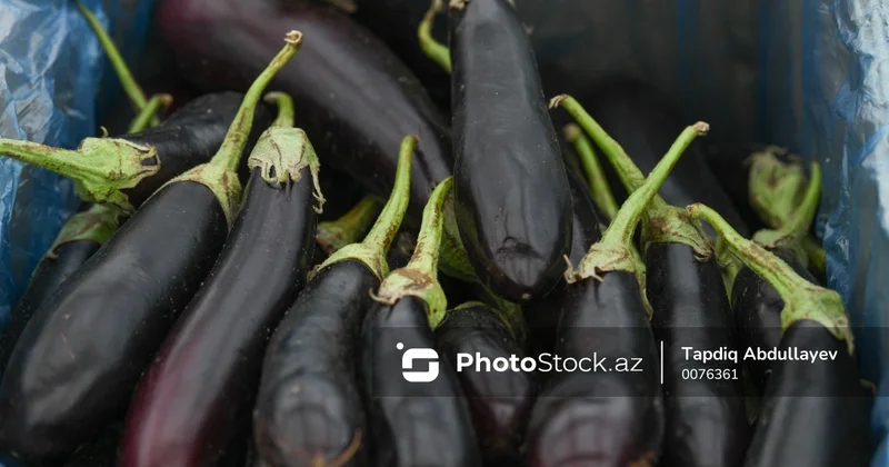 İspaniyada xərçənglə mübarizə aparmağa kömək edən badımcanlar yetişdirilib