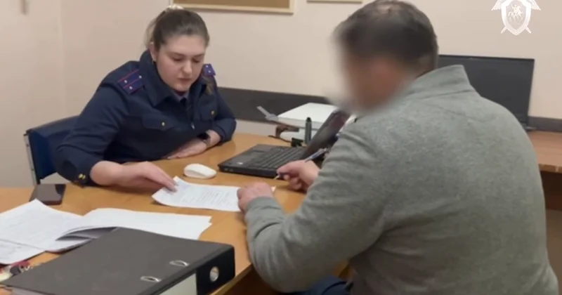 СК РФ: По делу о гибели 9 младенцев задержан главврач и завотделом