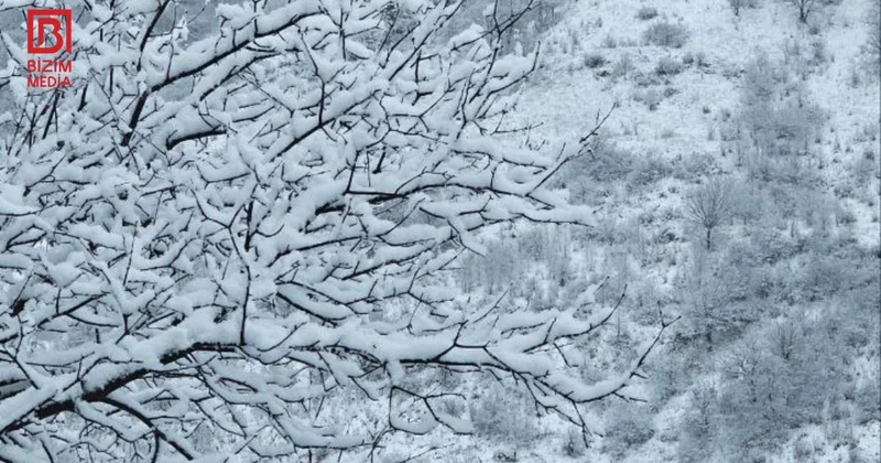 Qərb bölgəsinin bu ərazilərinə güclü qar yağır FOTO