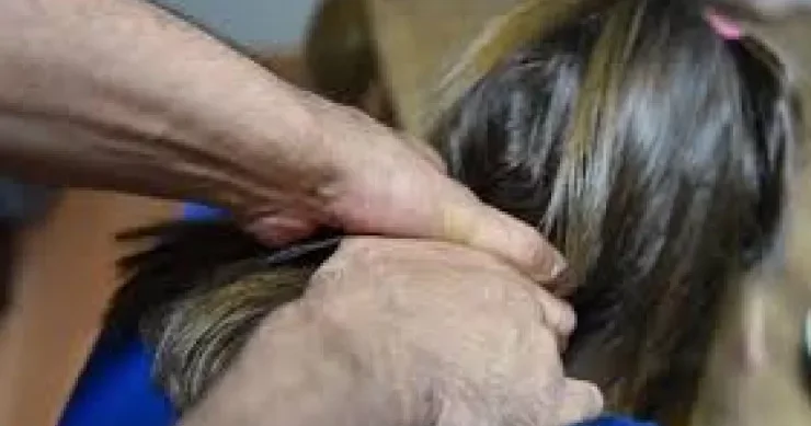 Ata 18 yaşlı qızını öldürüb ölkədən qaçdı: faciənin TƏFƏRRÜATLARI