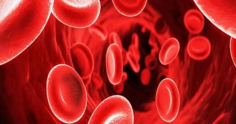 Qanazlığı yaddaşı və diqqəti zəiflədir? Səhiyyə Nazirliyinin mütəxəssisindən AÇIQLAMA