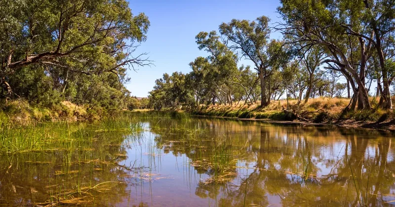 Dünyanın ən qədim çayı yüz milyonlarla ildir axır: Harada yerləşir?