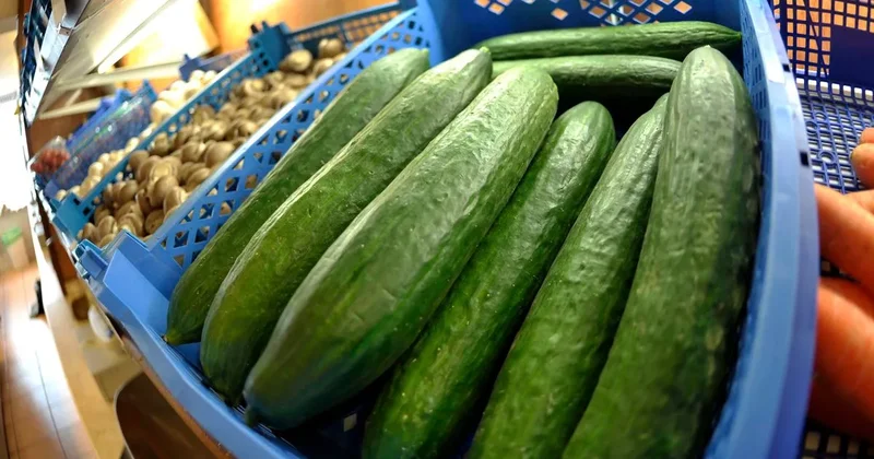 Mash: Огурцы убийцы обнаружили в сухпайках российской компании бортпитания