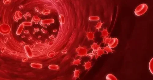 Dəmir çatışmazlığı anemiyası özünü necə göstərir? AÇIQLAMA