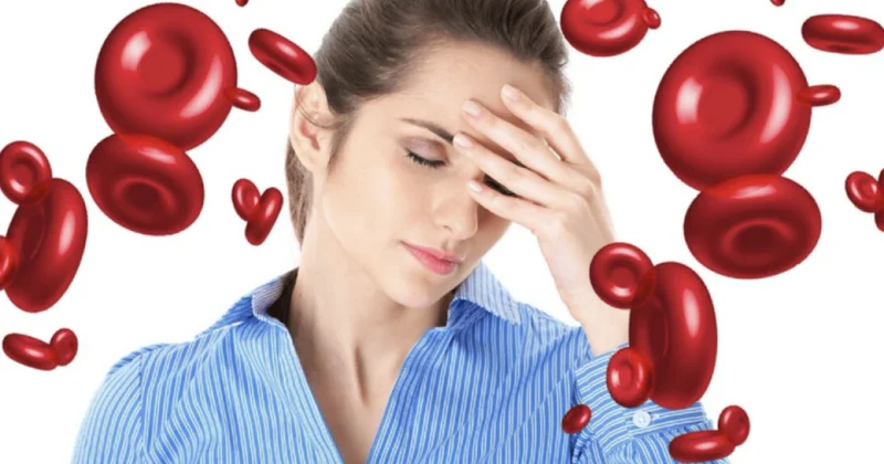 Анемия бьет по памяти и вниманию Беседа с врачом терапевтом