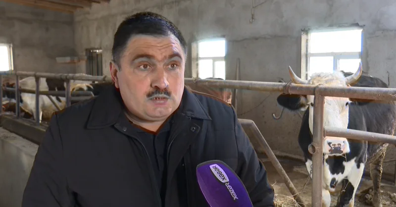 İki çoban yarım milyon manatdan çox pulu necə mənimsəyib? Film kimi cinayətin DETALLARI (VİDEO)