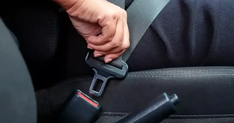 20 диагнозов, при которых ремень безопасности в Узбекистане не обязателен