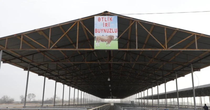 В Имишли заработал рынок по продаже сельхозживотных