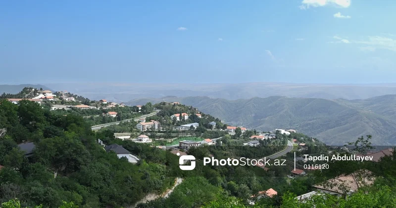 Laçında yaşayış məhəlləsinin tikintisi üçün 50 milyonluq tender elan olunub